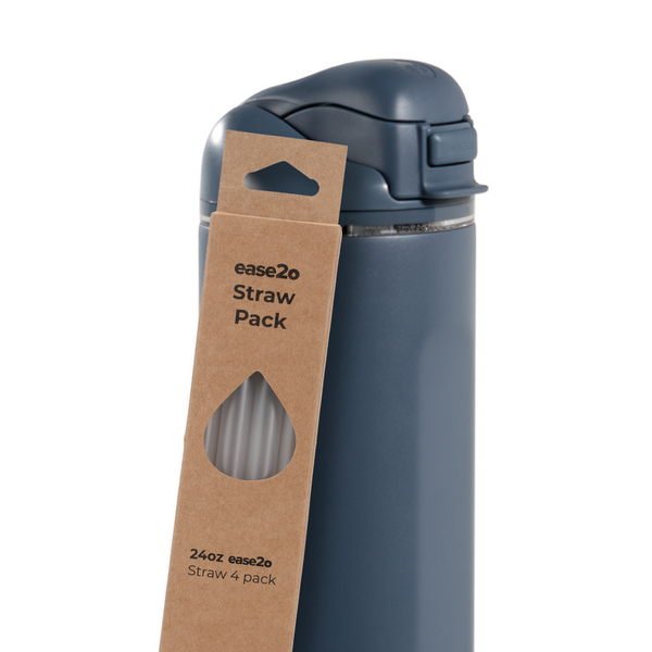 Ease2o Straws 4 Pack 24oz I8
